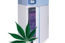 Účast na mezinárodní konferenci Konopí a věda X v Brně