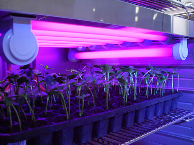 Fotogalerie CLIMACELL®
